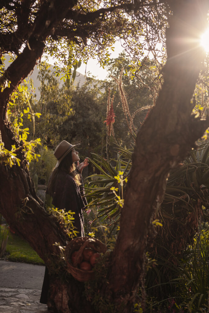 The programs featured image