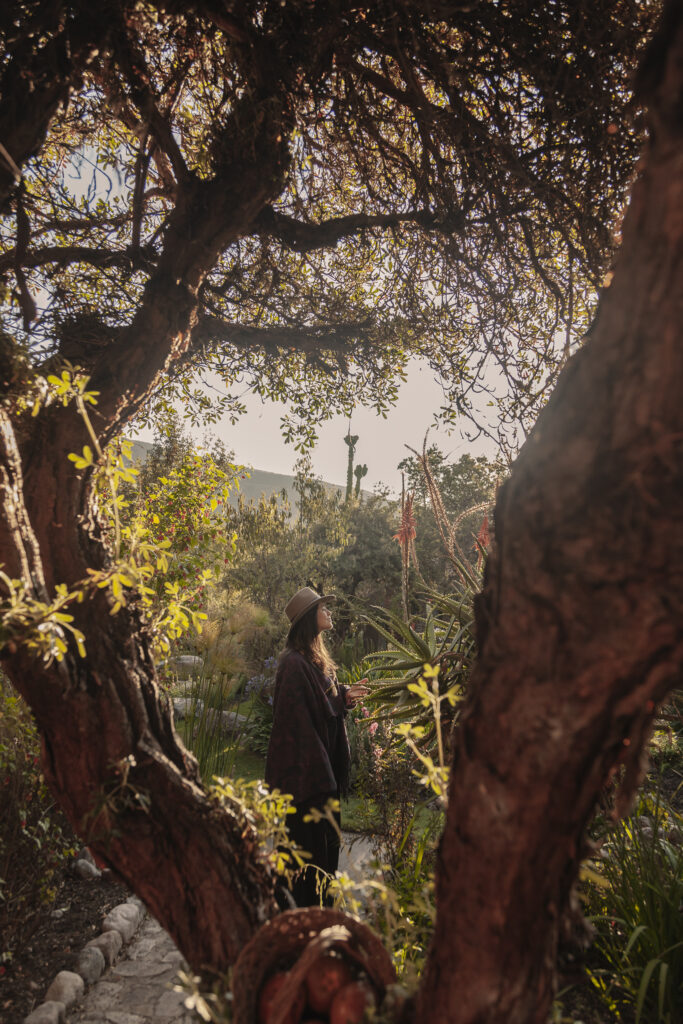 The programs featured image