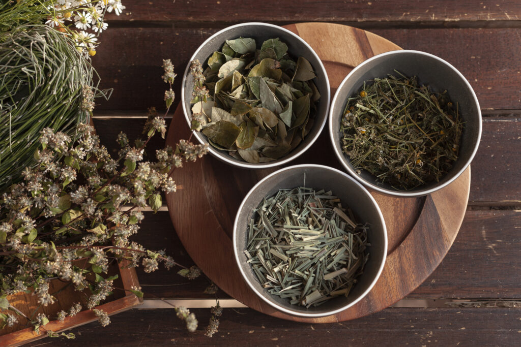 The programs featured image